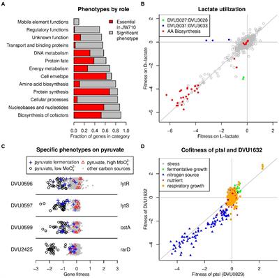 Large-scale genetic characterization of the model sulfate-reducing bacterium, Desulfovibrio vulgaris Hildenborough